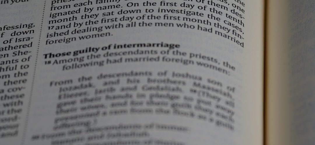 Photo Keyword: Kanibalizacja słów