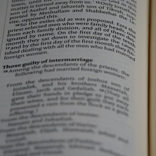 Photo Keyword: Kanibalizacja słów